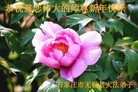 ֹ,ʯׯ󷨵ӹףʦ(28)
