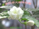 ֹ,󷨵ӹףʦ(21)
