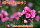 Published on 12/29/2016 ���ֹ�,��½�󷨵��ӹ�ףʦ�������(30��)
