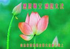 Published on 12/29/2016 ���ֹ�,��½�󷨵��ӹ�ףʦ�������(30��)