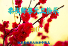 Published on 12/30/2016 ���ֹ�,��½�󷨵��ӹ�ףʦ�������(29��)