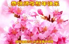 Published on 12/30/2016 ���ֹ�,����ҵ�󷨵��ӹ�ףʦ�������(29��)
