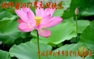 Published on 12/31/2016 ���ֹ�,���󷨵��ӹ�ףʦ�������(33��)