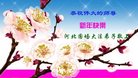 Published on 12/29/2016 ���ֹ�,��½�󷨵��ӹ�ףʦ�������(36��)