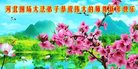 Published on 12/29/2016 ���ֹ�,��½�󷨵��ӹ�ףʦ�������(36��)