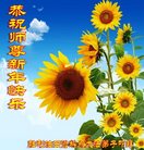 Published on 12/30/2016 ���ֹ�,����ҵ�󷨵��ӹ�ףʦ�������(29��)