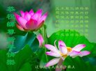 ֹ,ݴ󷨵ӹףʦ(23)