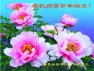 ֹ,ػʵ󷨵ӹףʦ(26)