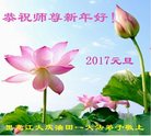 Published on 12/31/2016 ���ֹ�,����ҵ�󷨵��ӹ�ףʦ�������(33��)