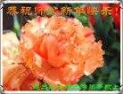 Published on 12/29/2016 ���ֹ�,��½�󷨵��ӹ�ףʦ�������(36��)
