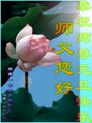 ֹ,ϴ󷨵ӹףʦ(20)