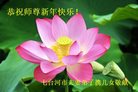 ֹ,󷨵ӹףʦ(20)