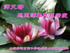 Published on 12/29/2016 ���ֹ�,��½�󷨵��ӹ�ףʦ�������(28��)