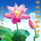 Published on 12/29/2016 ���ֹ�,��½�󷨵��ӹ�ףʦ�������(28��)