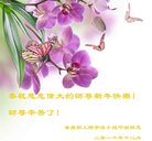 ֹ,󷨵ӹףʦ(24)