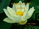ֹ,ൺ󷨵ӹףʦ(25)