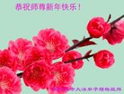Published on 12/29/2016 ���ֹ�,��½�󷨵��ӹ�ףʦ�������(28��)
