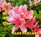 Published on 12/29/2016 ���ֹ�,��½�󷨵��ӹ�ףʦ�������(30��)