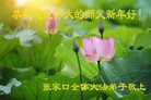 ֹ,żҿڴ󷨵ӹףʦ(25)