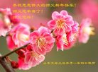 Published on 12/29/2016 ���ֹ�,��½�󷨵��ӹ�ףʦ�������(28��)