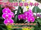 ֹ,󷨵ӹףʦ(20)