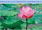 ֹ,ػʵ󷨵ӹףʦ(26)