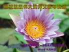 ֹ,󷨵ӹףʦ(24)