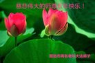 Published on 12/29/2016 ���ֹ�,��½�󷨵��ӹ�ףʦ�������(32��)
