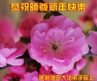 Published on 12/30/2016 ���ֹ�,����ҵ�󷨵��ӹ�ףʦ�������(29��)