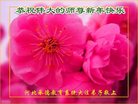 Published on 12/30/2016 ���ֹ�,����ϵͳ�󷨵��ӹ�ףʦ�������(24��)