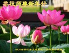 Published on 12/30/2016 ���ֹ�,����ҵ�󷨵��ӹ�ףʦ�������(29��)