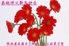 ֹ,󷨵ӹףʦ(21)