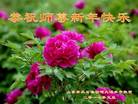 Published on 12/29/2016 ���ֹ�,����ҵ�󷨵��ӹ�ףʦ�������(34��)