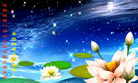 ֹ,󷨵ӹףʦ(26)