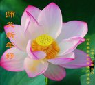 Published on 12/29/2016 ���ֹ�,���󷨵��ӹ�ףʦ�������(25��)