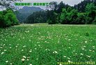 ֹ,󷨵ӹףʦ(21)