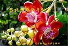 ֹ,󷨵ӹףʦ(26)