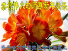 ֹ,󷨵ӹףʦ(21)
