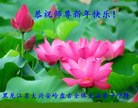 Published on 12/29/2016 ���ֹ�,����ҵ�󷨵��ӹ�ףʦ�������(34��)