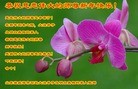 Published on 12/30/2016 ���ֹ�,��½�󷨵��Ӻͼ��˹�ףʦ�������(22��)