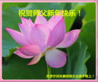 Published on 12/30/2016 ���ֹ�,���󷨵��ӹ�ףʦ�������(28��)