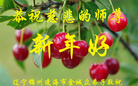 ֹ,ݴ󷨵ӹףʦ(23)