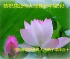 ֹ,֣ݴ󷨵ӹףʦ(25)