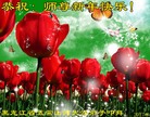 ֹ,󷨵ӹףʦ(22)