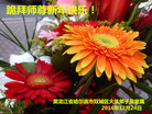 ֹ,󷨵ӹףʦ(22)