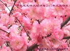 ֹ,ϴ󷨵ӹףʦ(25)