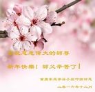 Published on 12/31/2016 ���ֹ�,2017��Ԫ���ؿ�����������