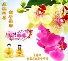 Published on 1/2/2017 ���ֹ�,2017��Ԫ���ؿ��������壩