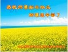 Published on 12/30/2016 ���ֹ�,ũ��󷨵��ӹ�ףʦ��������֣�