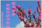 Published on 12/30/2016 ���ֹ�,�������弸���˸ж�ʦ��